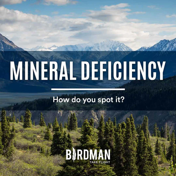 The Hidden Deficit | Mineral Deficiency