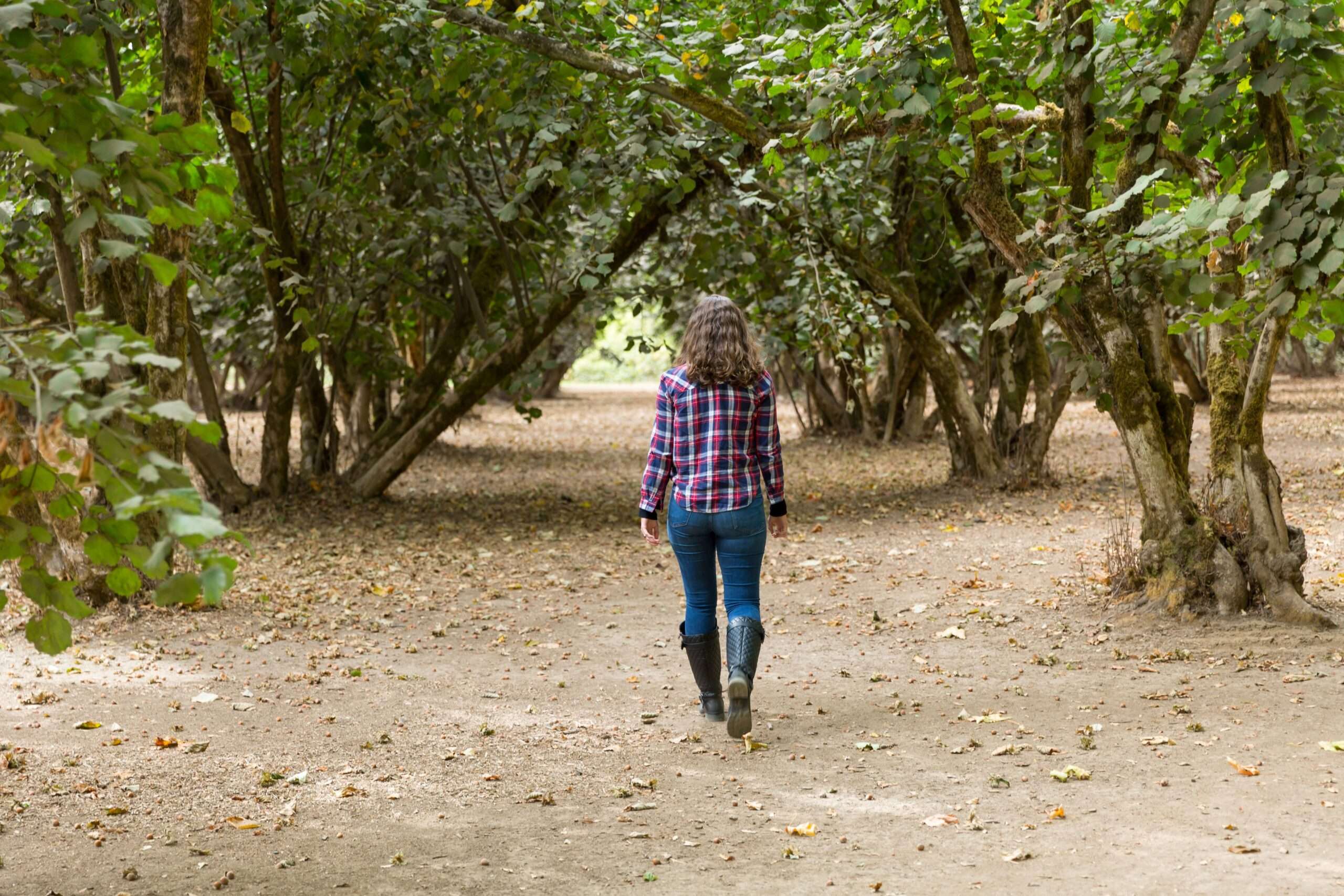 Dorris Ranch Hazelnuts