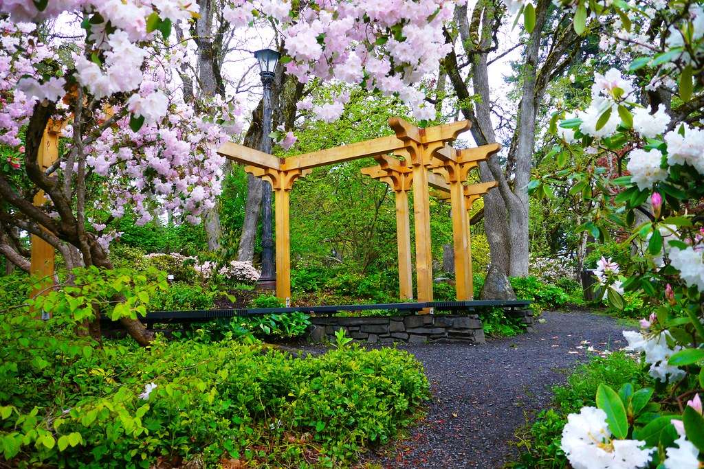 Hendricks Park Trellis