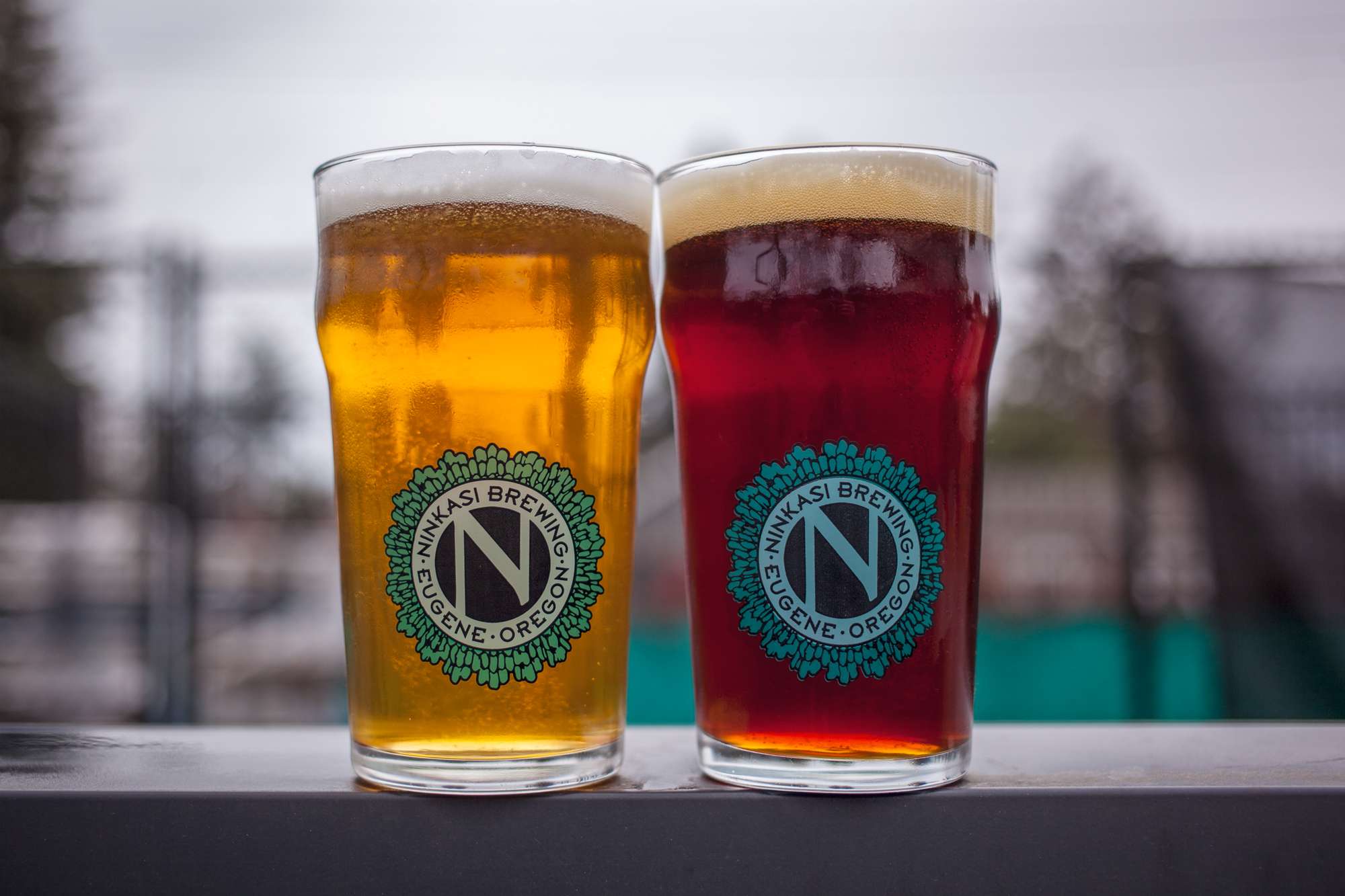 Ninkasi Brews