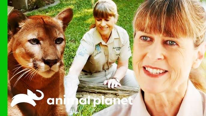 Conservation Icon | Terri Irwin