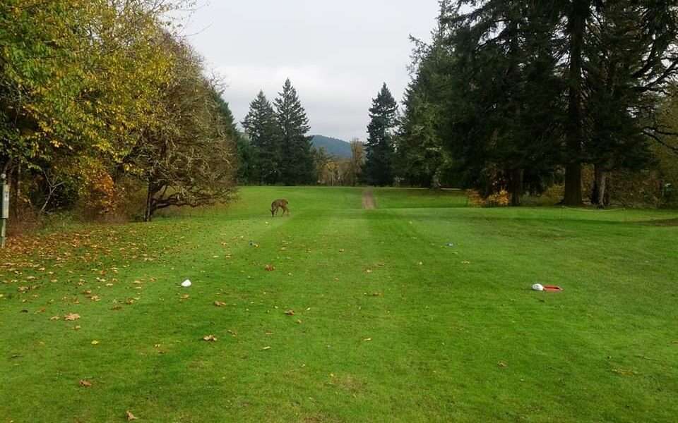 Hidden Valley Golf Course