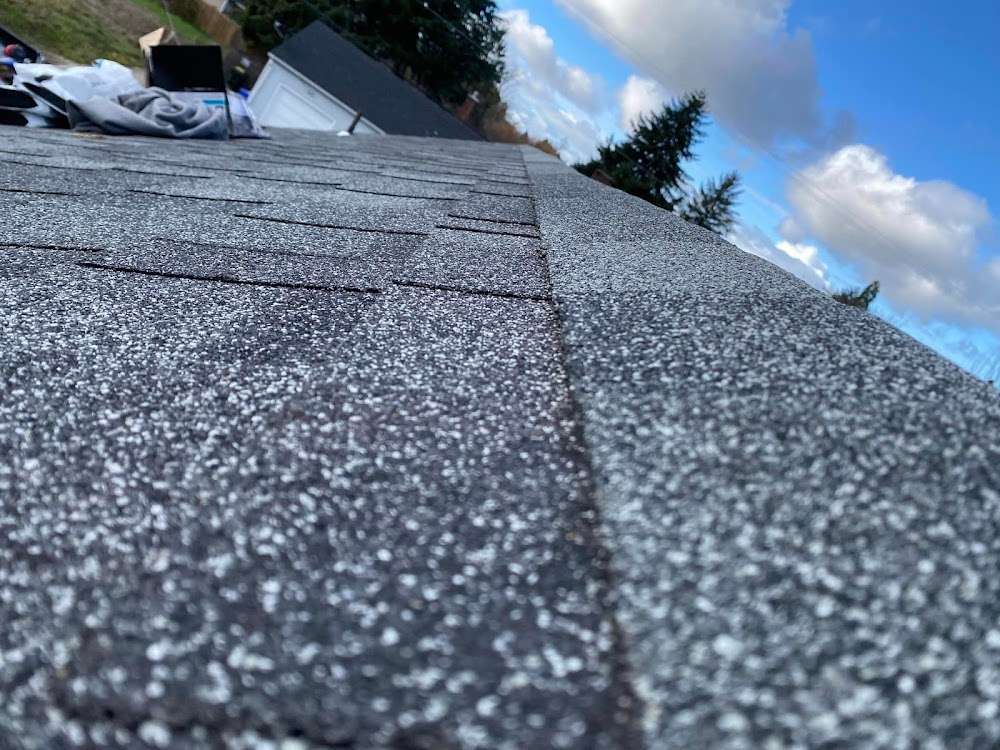 Pride Roofing and Paint