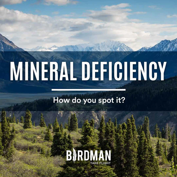 Mineral Defiency