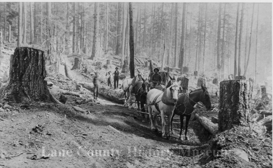 Lane County History