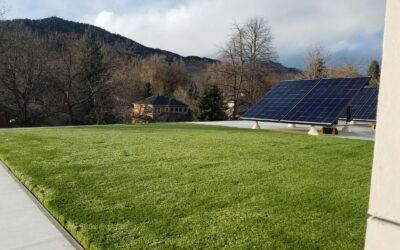 Artificial Grass Installation Eugene Oregon