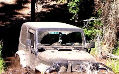 Tire Mountain Trail:, Lane County