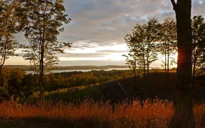 Lane County: Summer, Lane County