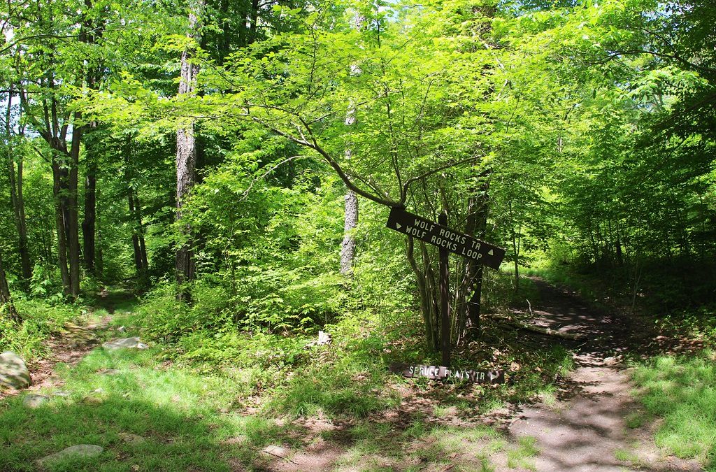 Wolf Rock Scramble:, Lane County