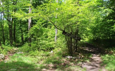 Wolf Rock Scramble:, Lane County