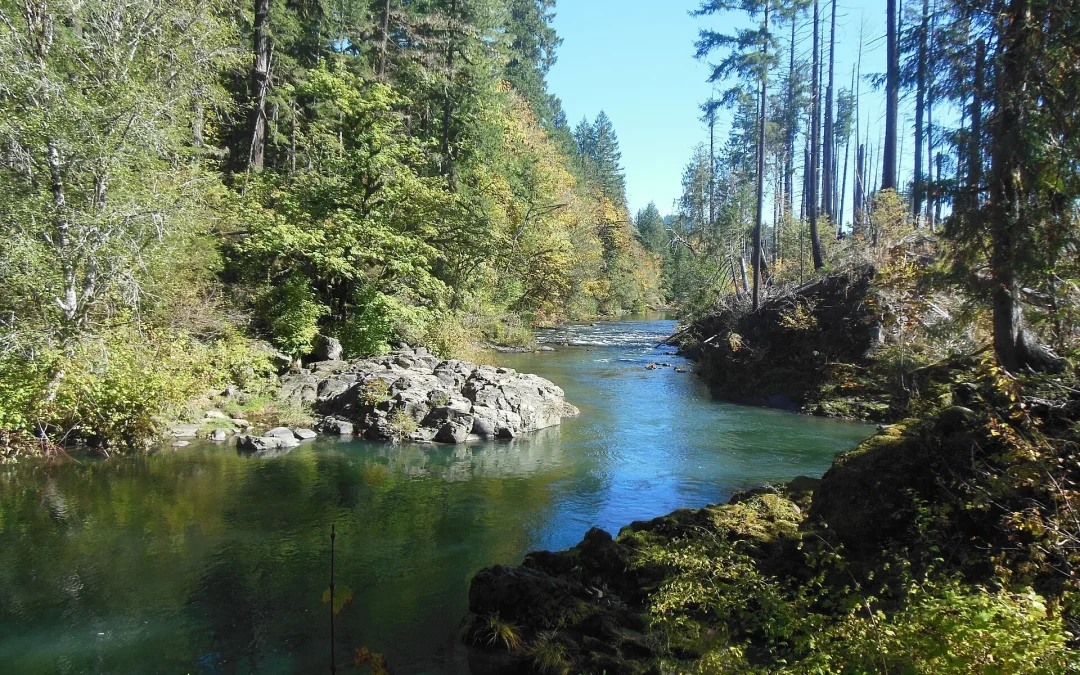 Fall Creek Reservoir Loop: A Quiet Swim and Paddle Spot East