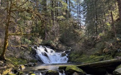 Lane County: Mud Season, Lane County