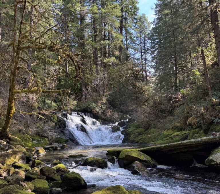 Late Winter 2027 in Lane County: Mud Season Hikes and Cozy Getaways