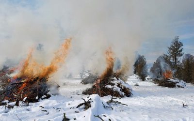 Lane County Burn Permit, Lane County