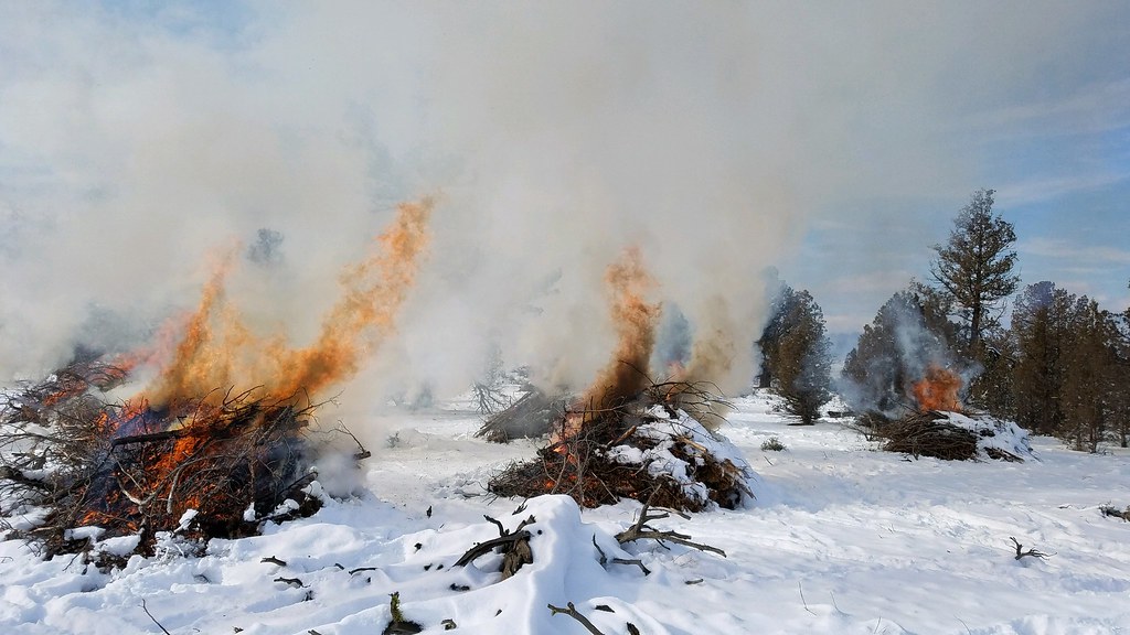 How to Get a Lane County Burn Permit for Fall Debris Burning