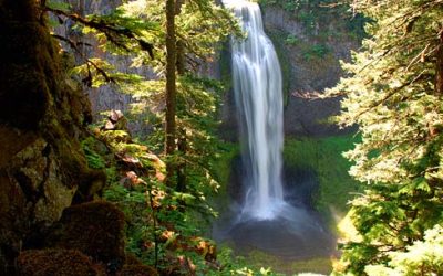 Salt Creek Falls Overlook:, Lane County