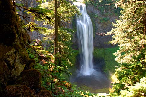 Salt Creek Falls Overlook: Quick Highway 58 Stop