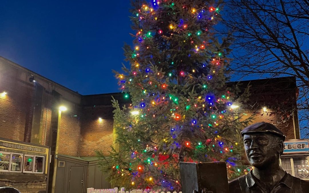 Lane County Holiday Lights: 2026 Tree Lightings