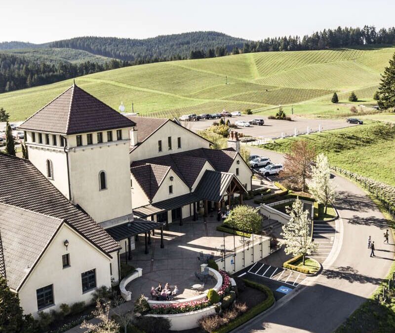 King Estate Winery: A Hilltop Tasting Room South of Eugene